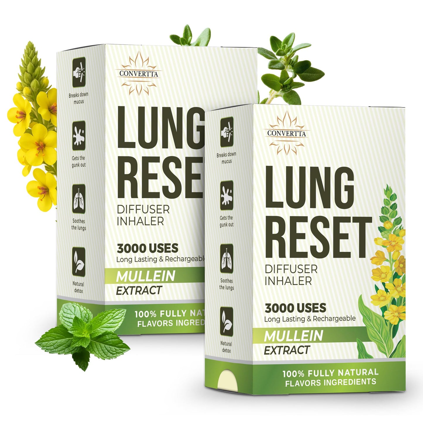 Lung Detox Rechargeable Mullein Diffuser Pen | Natural Mullein Leaf | Lung Health & Detox | Herbal Mullein Diffuser Pen 3000 Uses