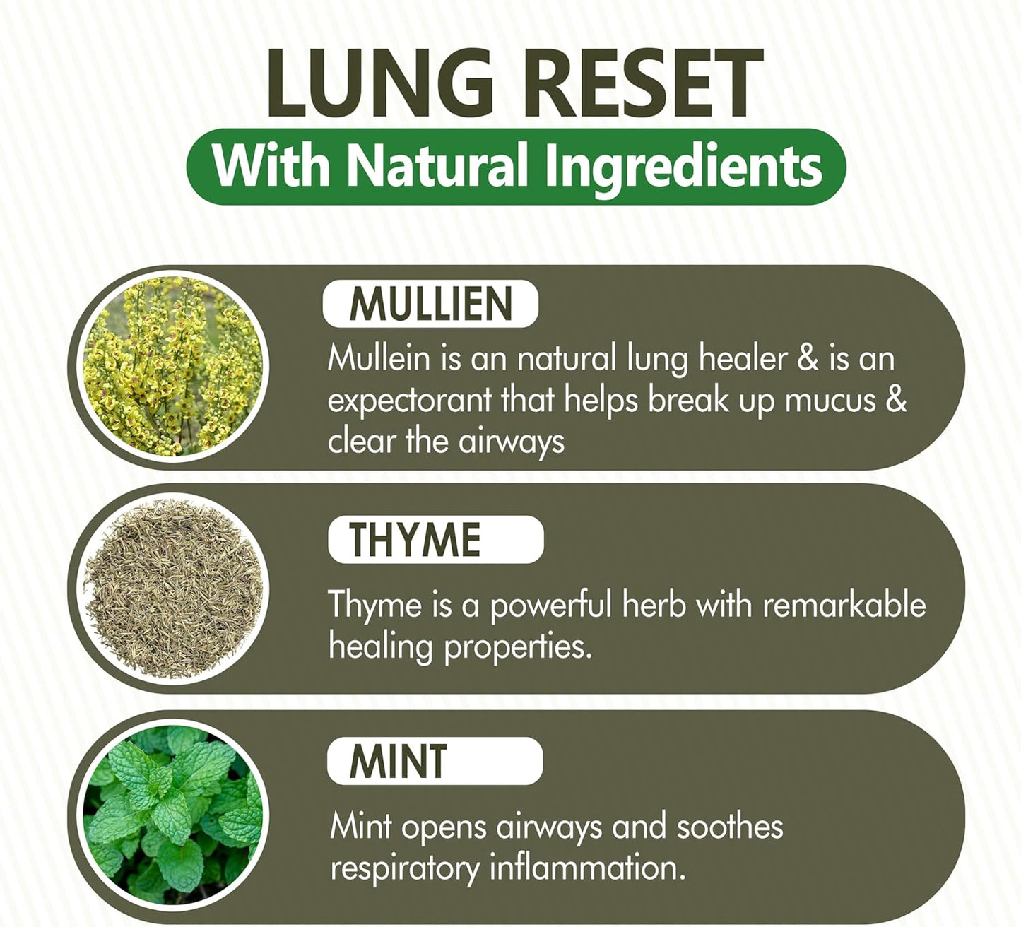 Lung Detox Rechargeable Mullein Diffuser Pen | Natural Mullein Leaf | Lung Health & Detox | Herbal Mullein Diffuser Pen 3000 Uses