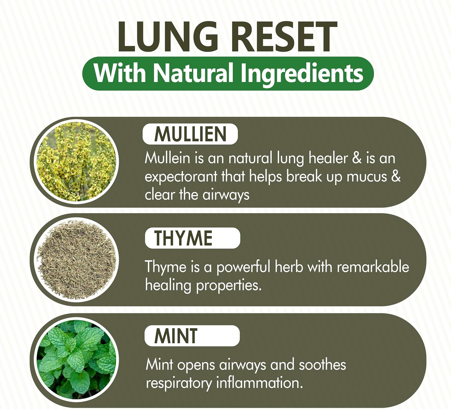 Lung Detox Rechargeable Mullein Diffuser Pen | Natural Mullein Leaf | Lung Health & Detox | Herbal Mullein Diffuser Pen 3000 Uses