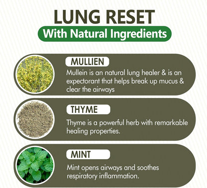 Lung Detox Rechargeable Mullein Diffuser Pen | Natural Mullein Leaf | Lung Health & Detox | Herbal Mullein Diffuser Pen 3000 Uses