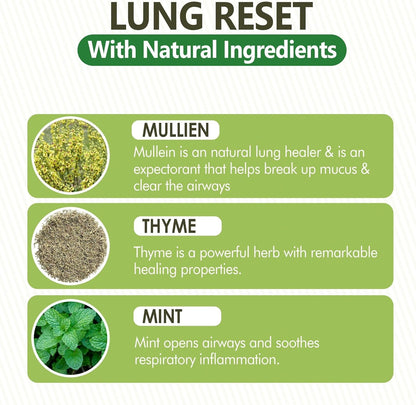 CONVERTTA™ Lung Detox Mullein Diffuser Pen | Natural Mullein Leaf | Lung Health & Detox | Herbal Mullein Diffuser Pen 600 Uses